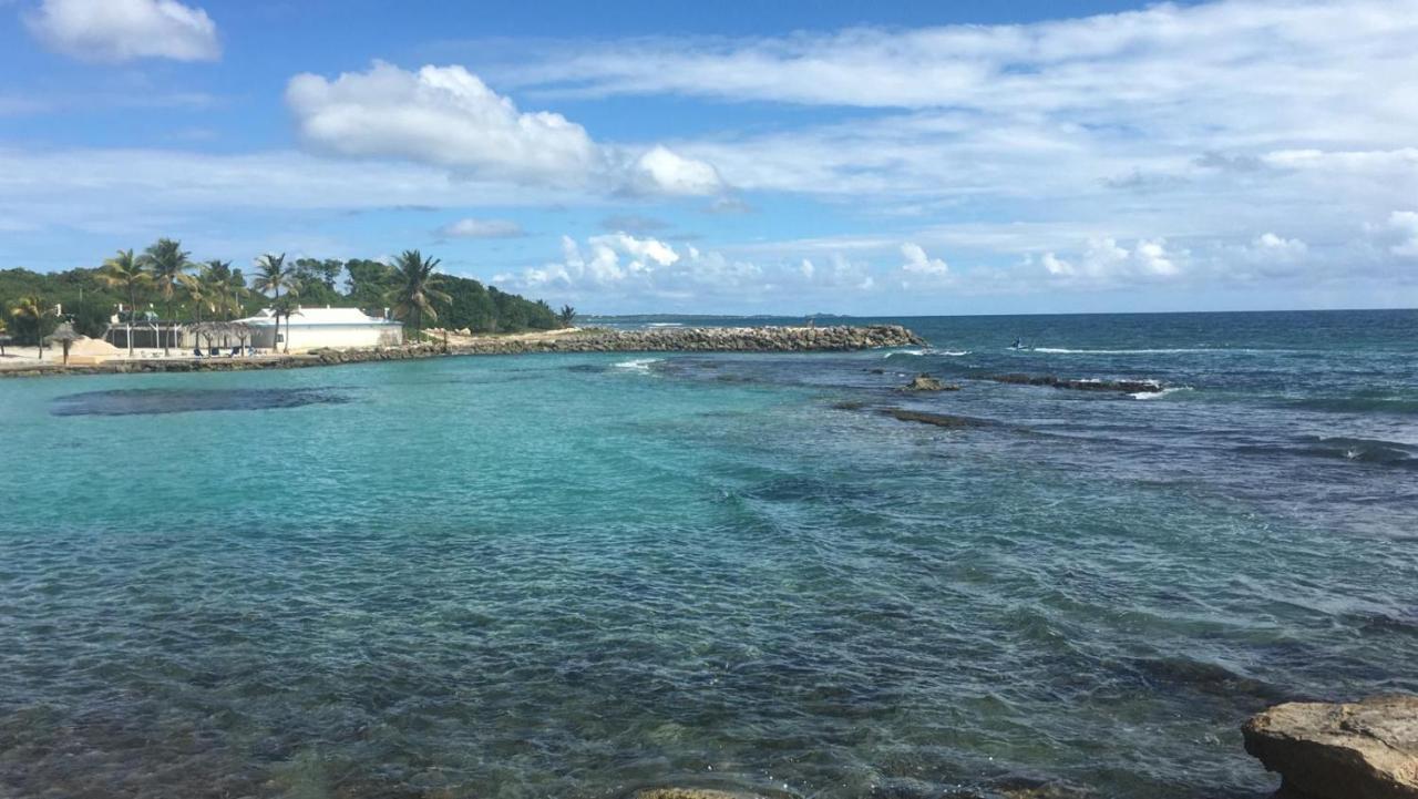 Studio Vue Mer Piscine Plage Kaz Punch Manganao Chez Julie サン・フランソワ エクステリア 写真
