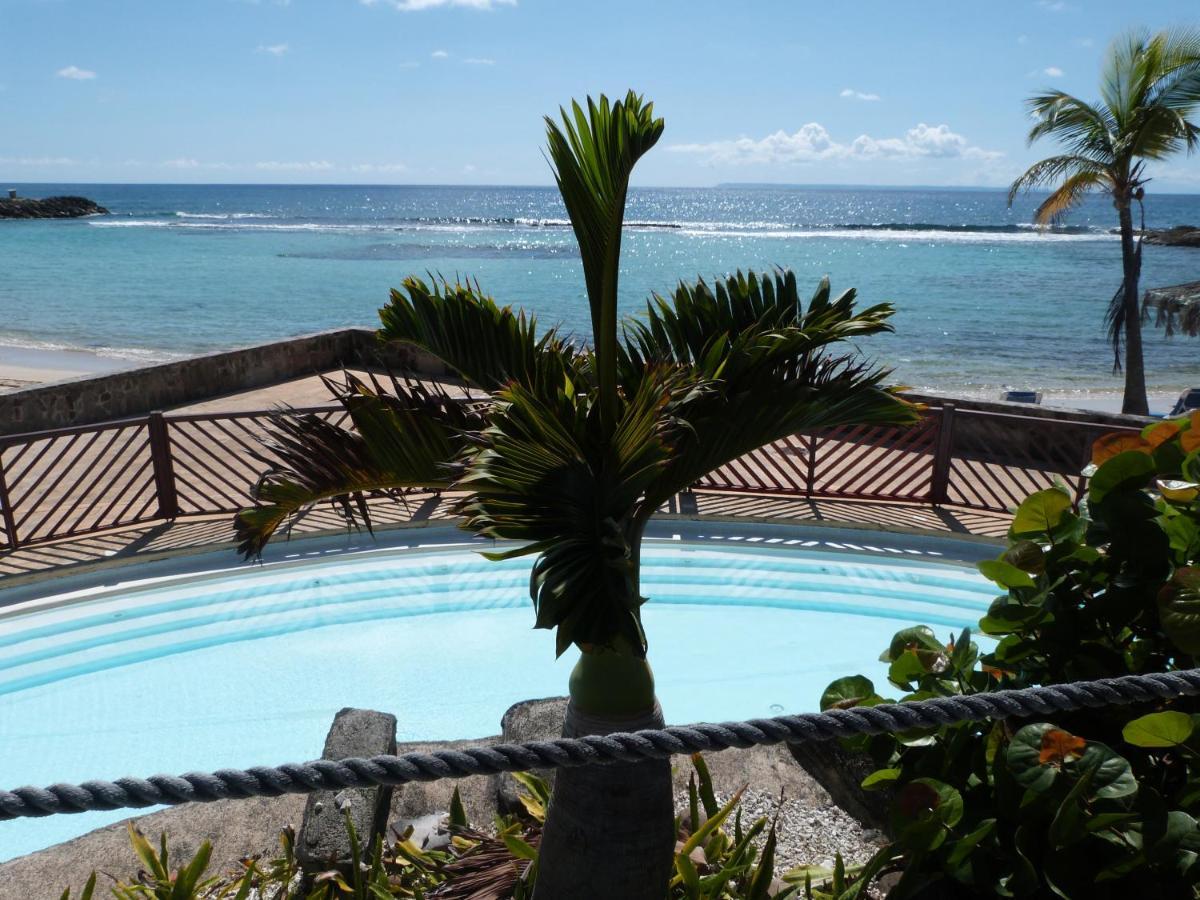 Studio Vue Mer Piscine Plage Kaz Punch Manganao Chez Julie サン・フランソワ エクステリア 写真