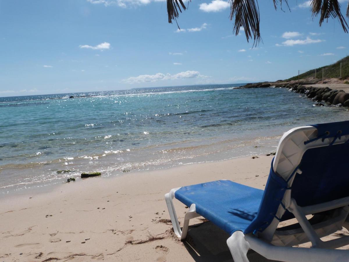 Studio Vue Mer Piscine Plage Kaz Punch Manganao Chez Julie サン・フランソワ エクステリア 写真