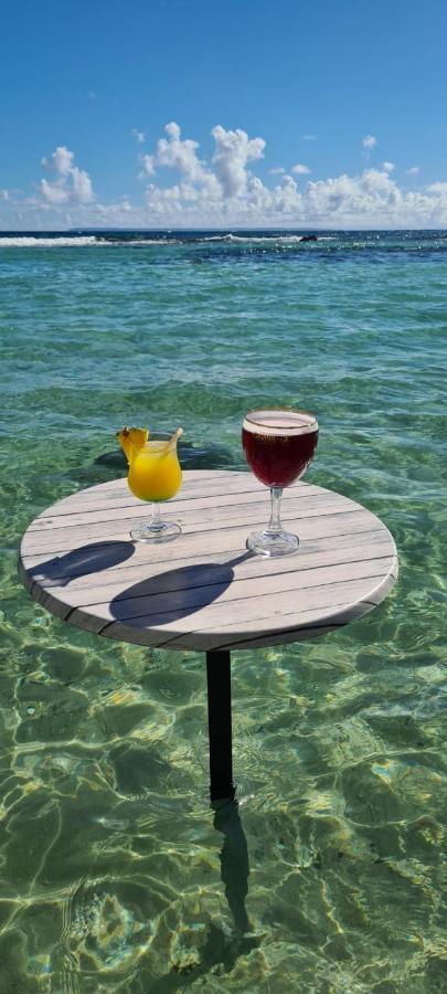 Studio Vue Mer Piscine Plage Kaz Punch Manganao Chez Julie サン・フランソワ エクステリア 写真