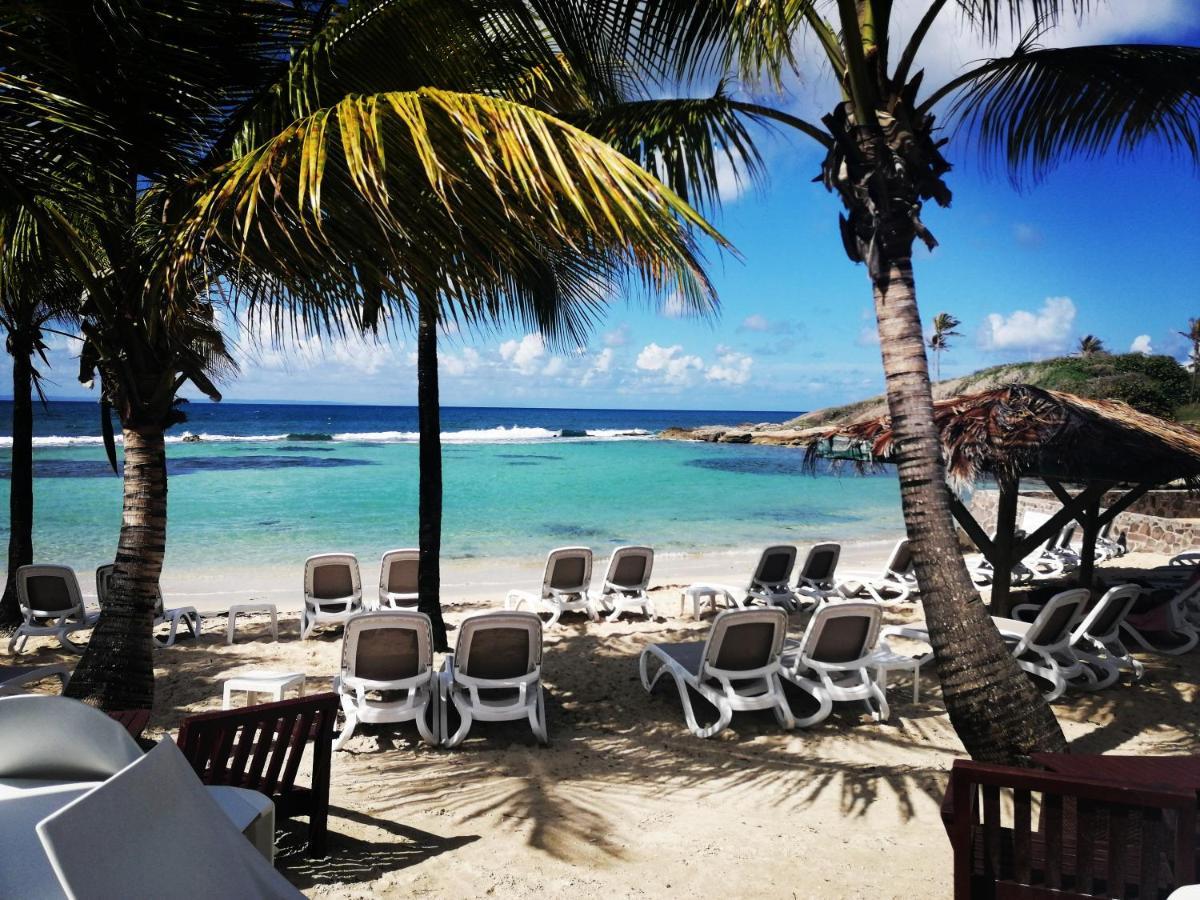 Studio Vue Mer Piscine Plage Kaz Punch Manganao Chez Julie サン・フランソワ エクステリア 写真