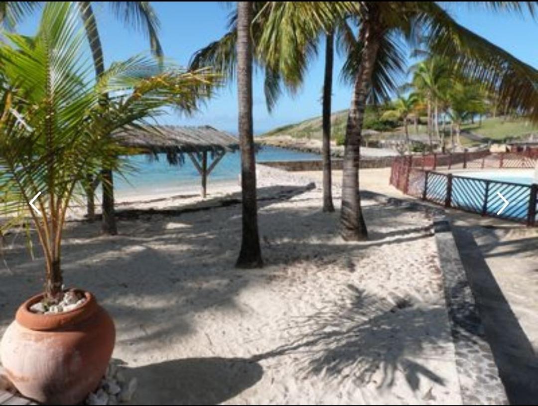 Studio Vue Mer Piscine Plage Kaz Punch Manganao Chez Julie サン・フランソワ エクステリア 写真